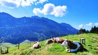 09.09.2023: Wanderung &quot;Gipfelweg&quot;